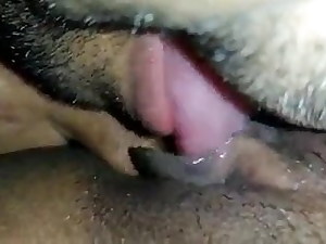 Uncle gobbling desi mom’s pussy